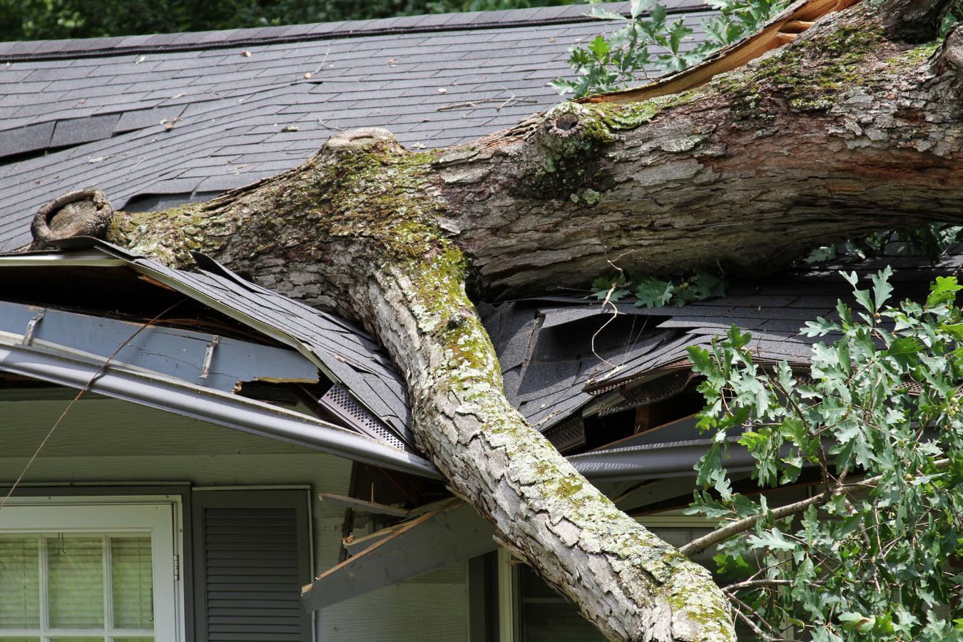 Storm Clean-up with Atoka Tree Service