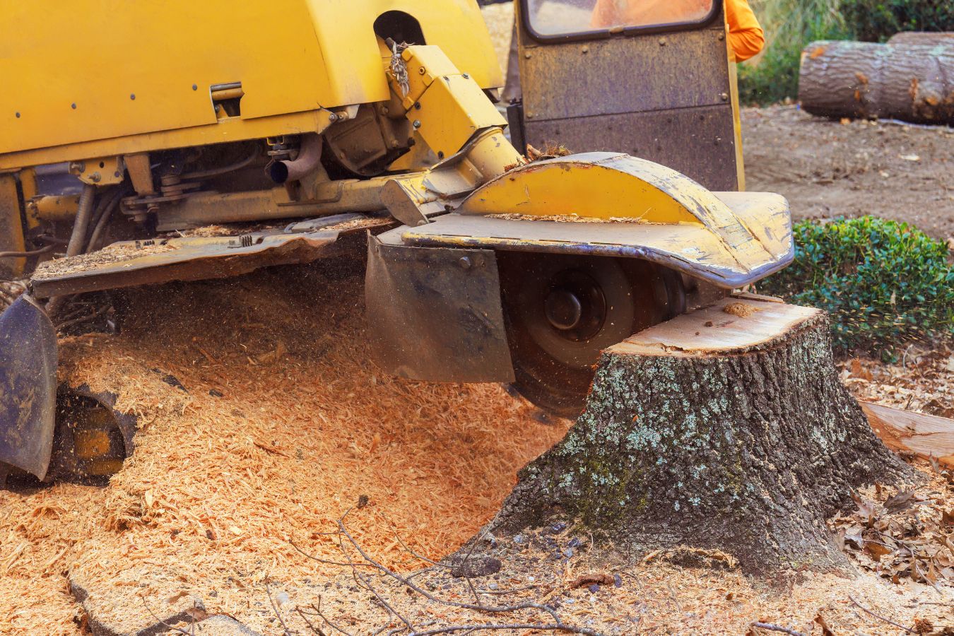 Stump Grinding in Atoka, TN